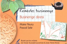 page de couverture remèdes businengue