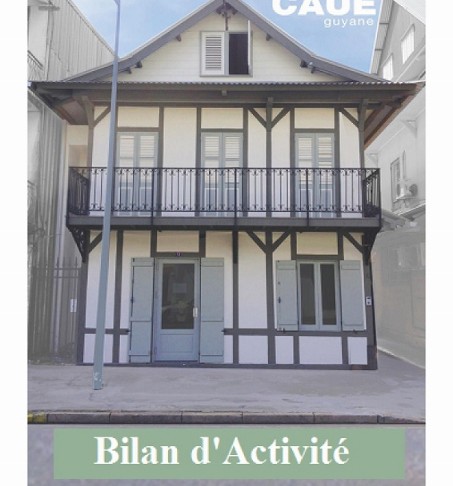 bilan d'activité petite